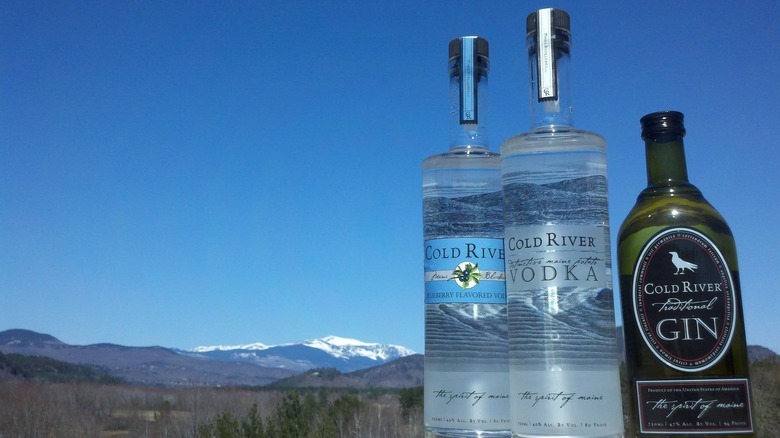 Two bottles of Cold River Vodka and Gin expressions outside with snow covered mountains in the distance.