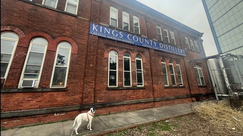 A close-up exterior shot of the Brooklyn Navy Yards brick building with Kings County Distillery sign with a white dog on the sidewalk.