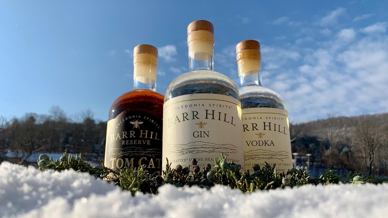 Up-close shot of three bottles of Caledonia Spirits expressions in the snow with juniper on the fore and trees in the background.