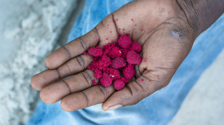 Red baobab seeds with sugar in a hand, close up