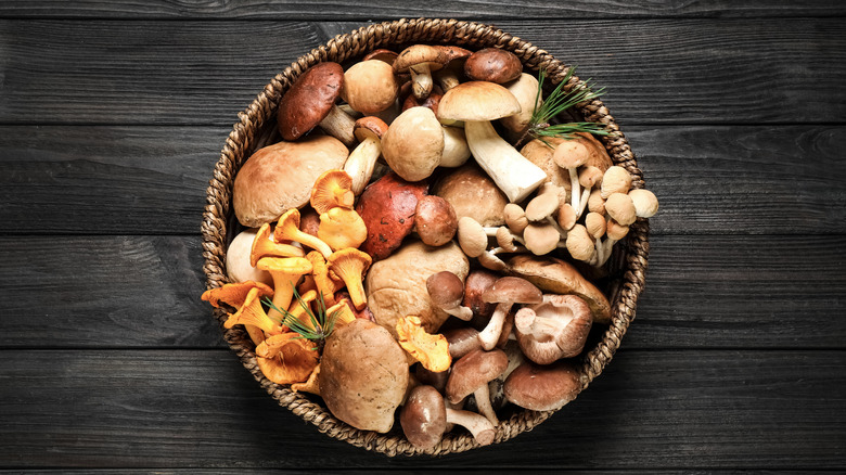 basket of different mushroom species