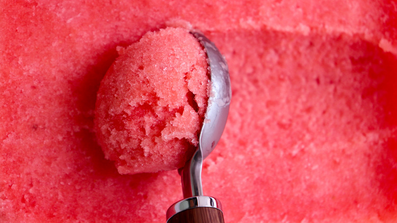 a close-up of an ice cream scoop scooping watermelon sorbet