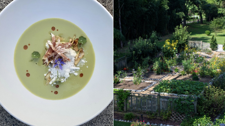 Chilled cucumber soup on the left and lush garden on the right