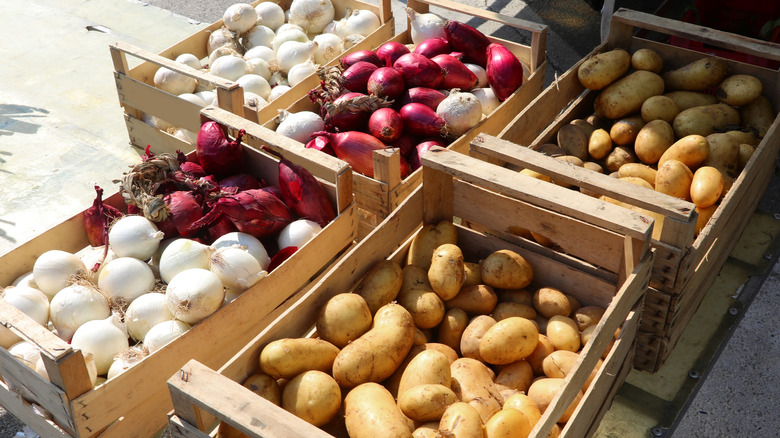 Wooden crates of potatoes and onions lined up in a garden