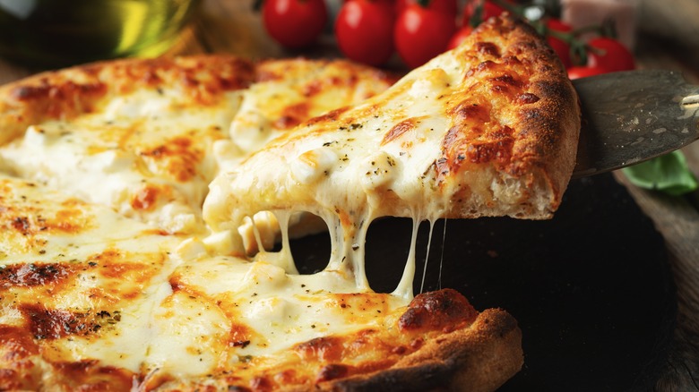 mozzarella cheese pizza