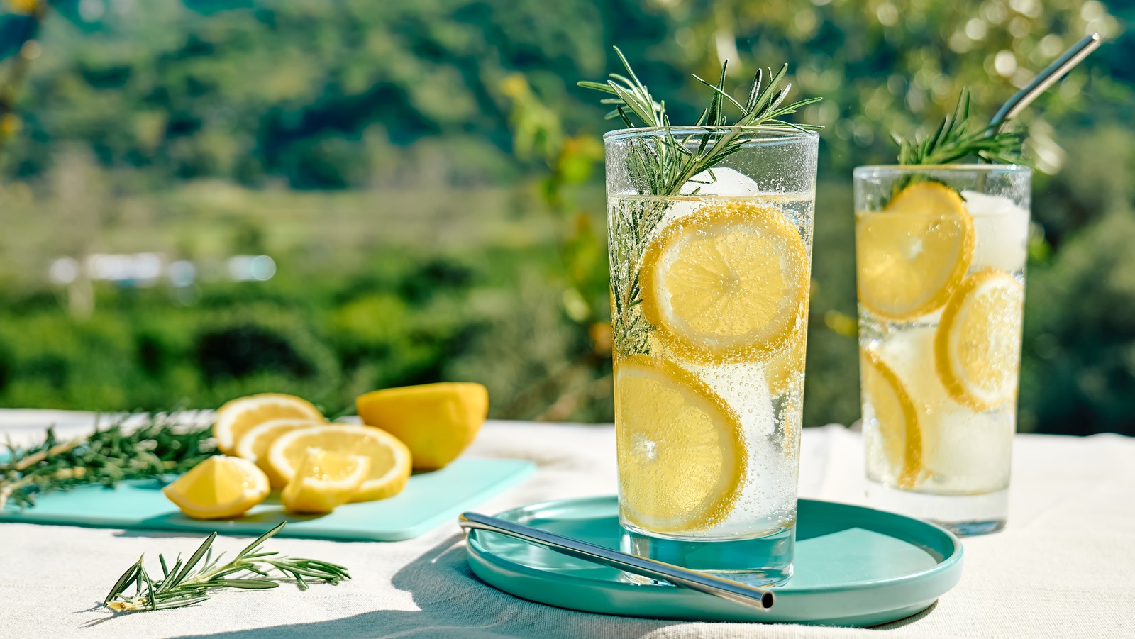 The Muffin Tin Hack For The Giant Citrus Ice Cubes You Deserve