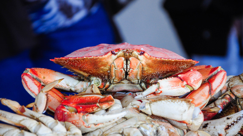a Dungeness crab atop others in a market