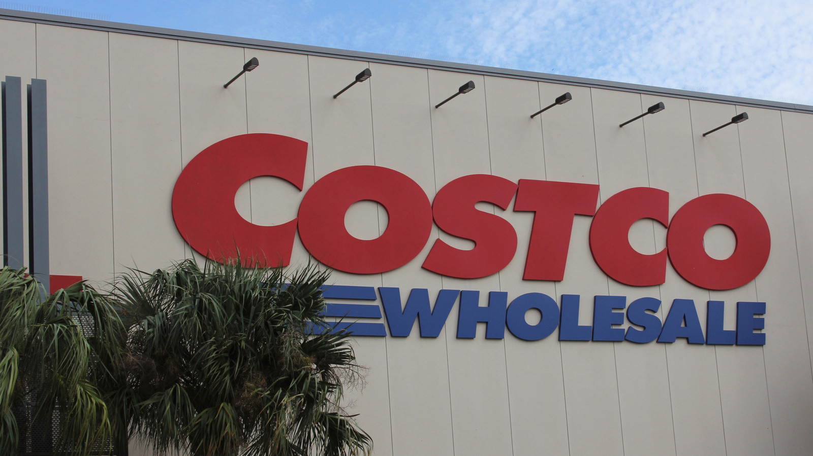 The Must-Have Small Appliance To Buy At Costco In June 2026 (Because It's Cheape...