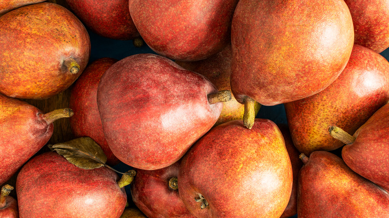 Red anjou pears