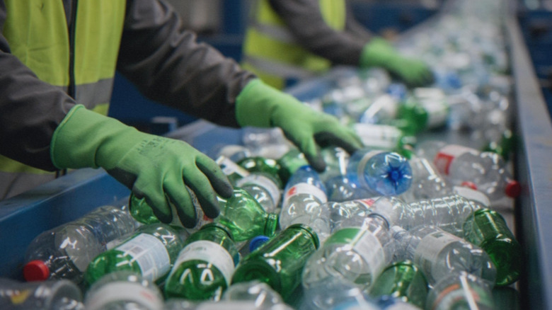 workers sorting plastic bottles