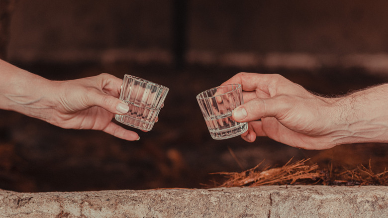 Arms clinking glasses of clear spirit