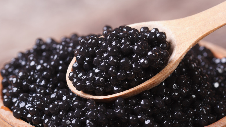 Caviar on a spoon