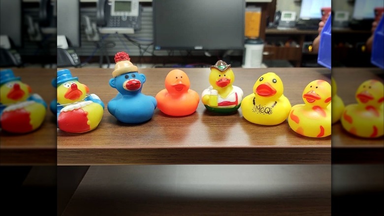 The rubber duck collection at Sugar n' Spice.