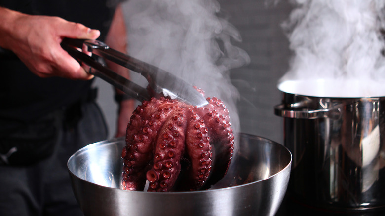 Boiling octopus