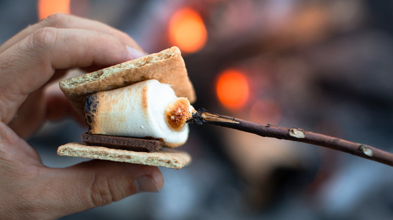 A hand holding s'mores on a stick.
