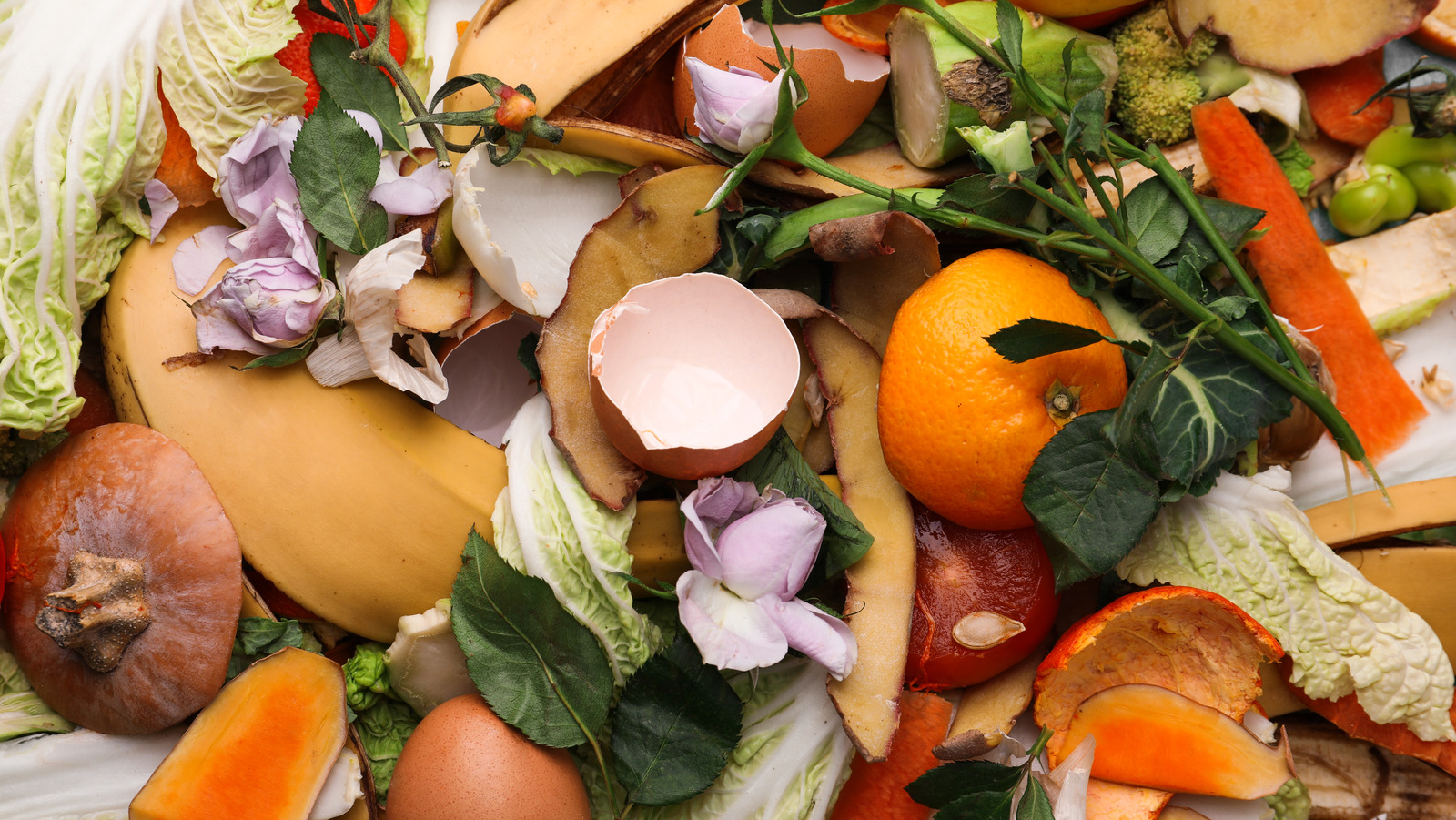 The One-Ingredient Upgrade For Any Meal That Everyone Throws Away - Tasting Table