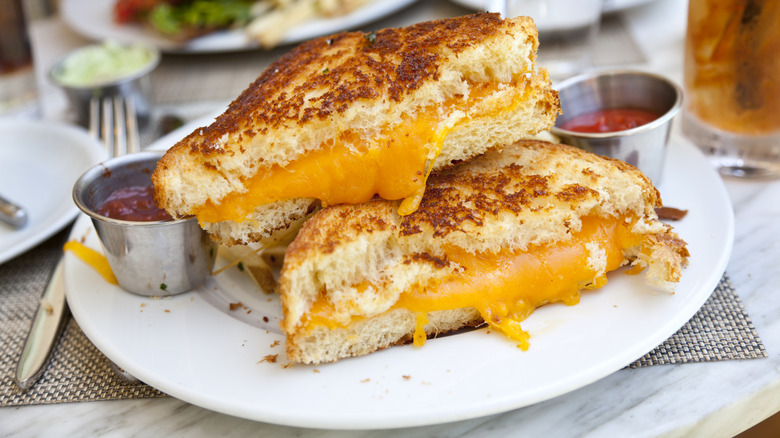 Close-up of a grilled cheese sandwich