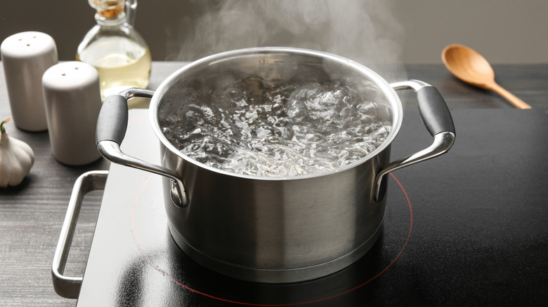 Overhead view of a pot of water boiling on electric stovetop