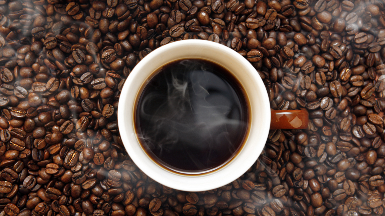 The Only Type Of Coffee Roast For Truly Vibrant Americanos