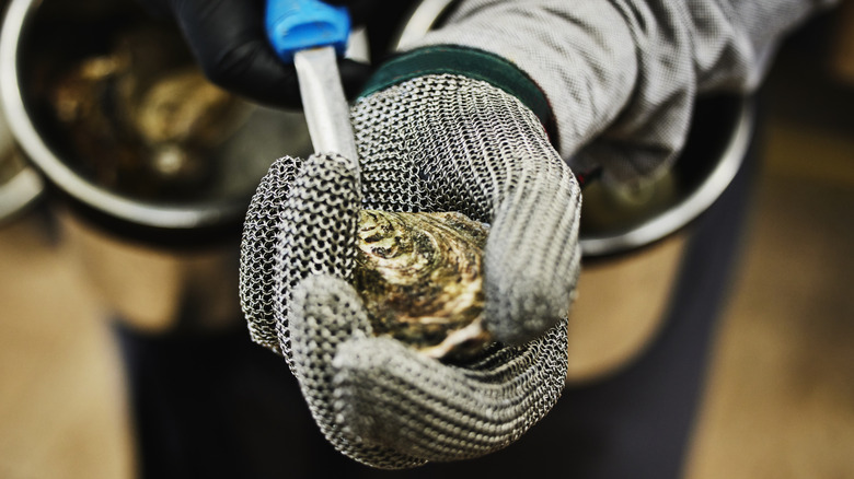 Close up of someone abou tot shuck an oyster wearing a safety glove