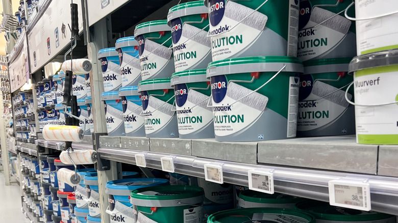 selection of paints in store