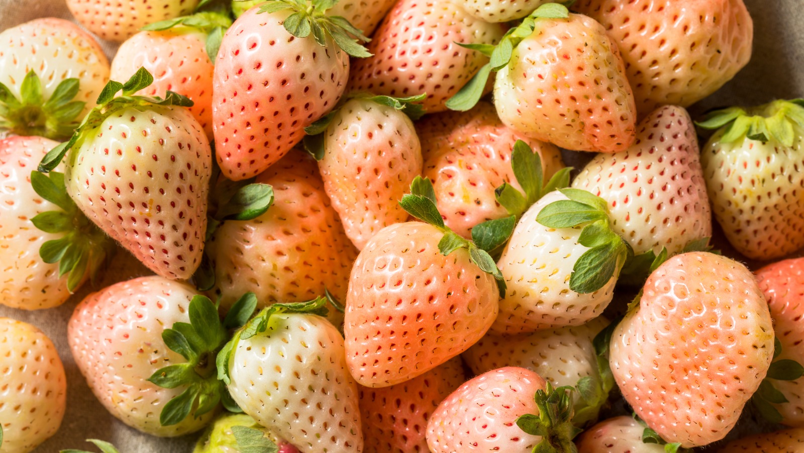The Pale Pink Strawberry Variety With A Slightly Tropical Flavor