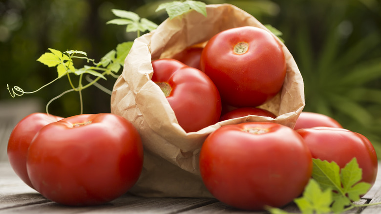 tomatoes in a paper bag