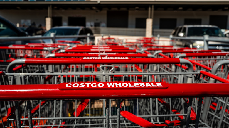 Stack of Costco shopping carts are collected in the parking lot.