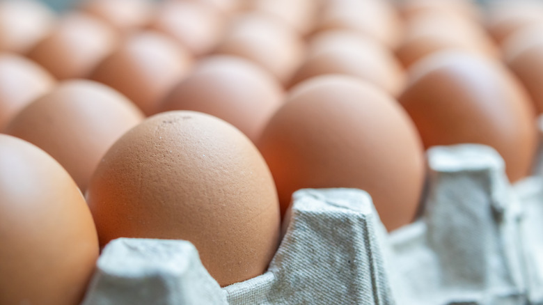 Brown eggs in carton