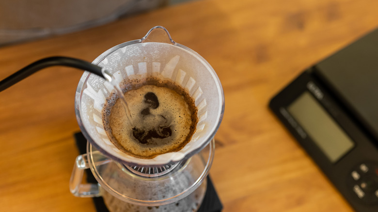 A close-up of a water flowing into a coffee-filled filter in a pour-over brewer