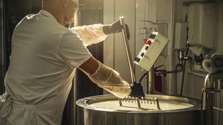 Person making cheese in factory 