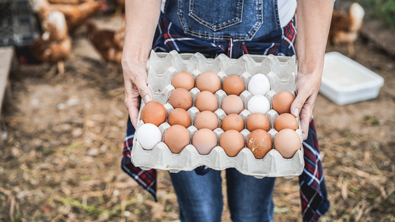 The Real Reason Egg Prices May Be Higher Than Ever