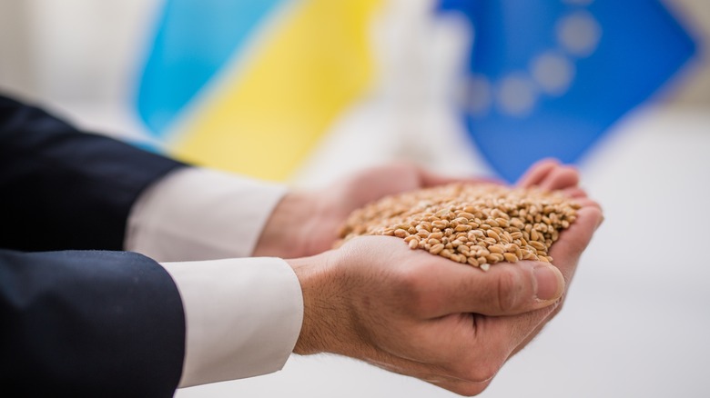 Grains with Ukrainian and European Union flags 