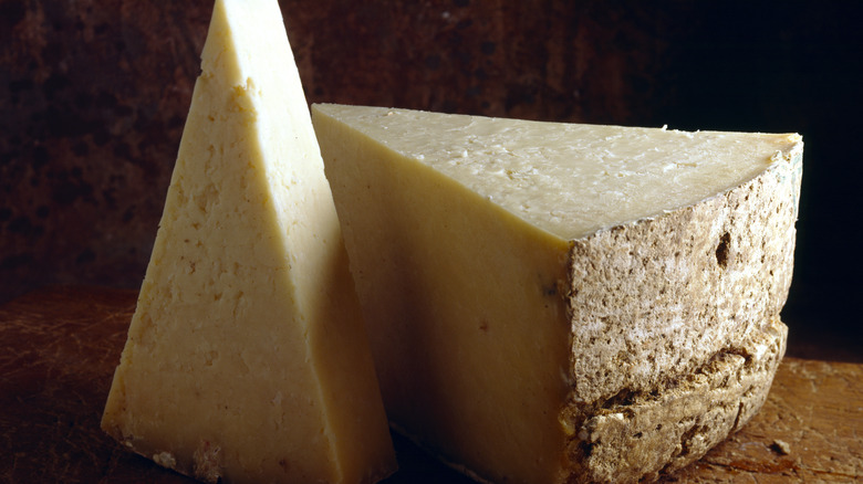 closeup of Salers cheese
