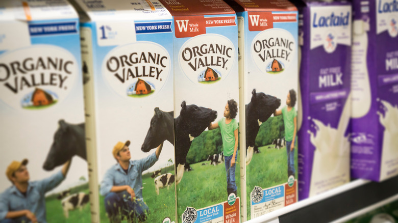 organic valley dairy products 