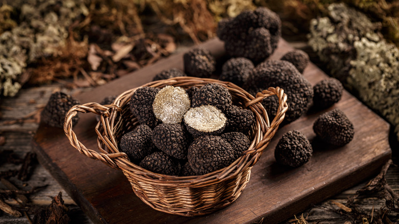 forest foraging truffle basket