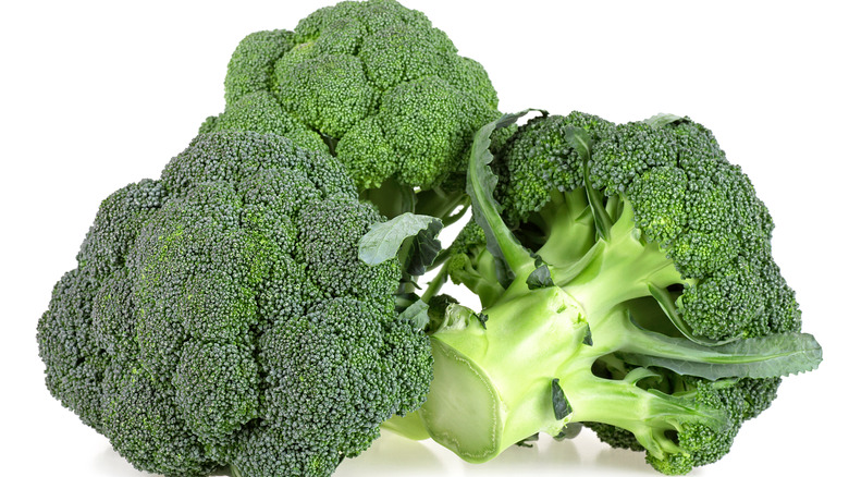Fresh broccoli 
