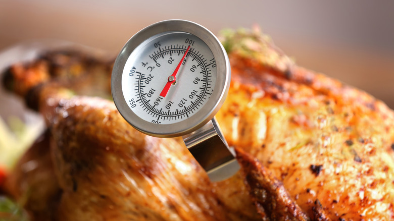 The Reason A Thermometer Is Still Useful When Air Frying Foods