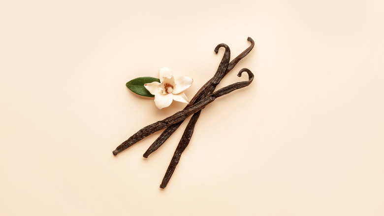 vanilla beans and orchid bud