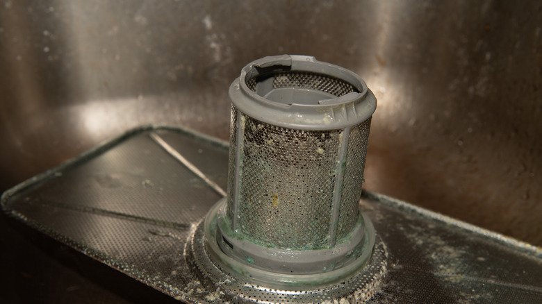 Dishwasher filter with mold