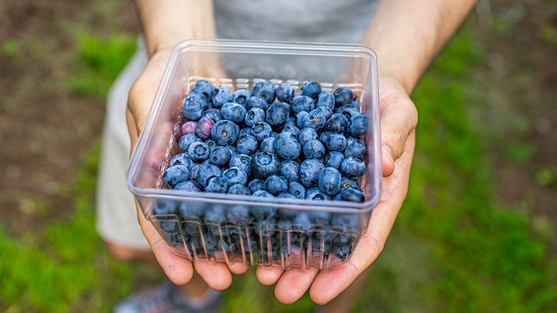 person holding container of blueberries