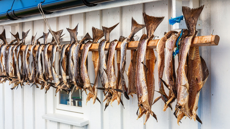 Cod hung out to dry 