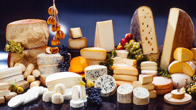 selection of different cheeses