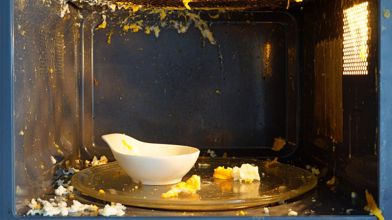 exploded egg in microwave 