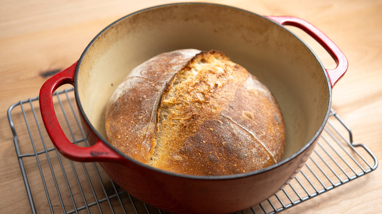 Homemade bread in Dutch oven