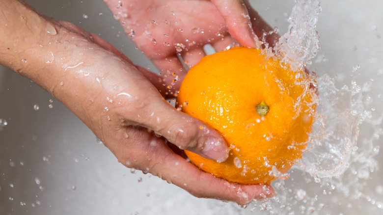 Person cleaning orange in sink