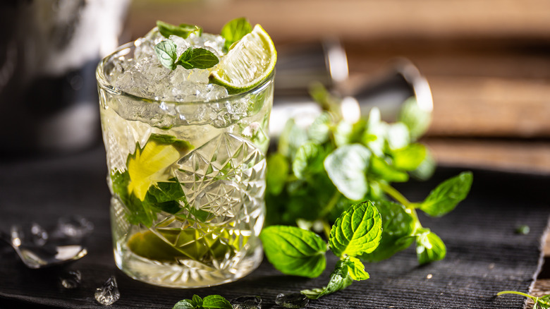 Closeup on a mojito