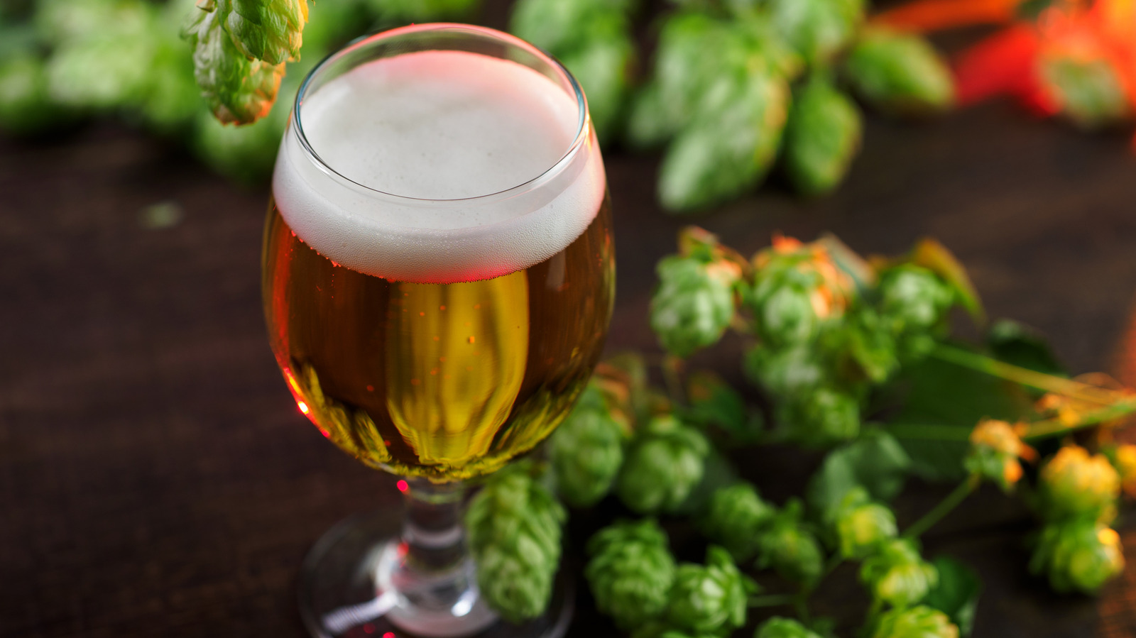 The Red Flag Every Hoppy Beer Fan Should Know About - Tasting Table