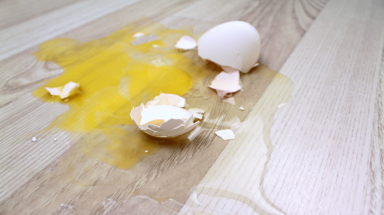 egg spilled on floor 
