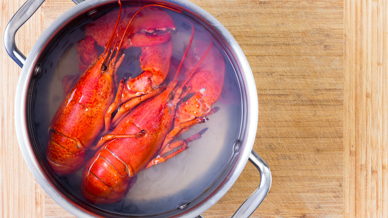 Lobsters boiling in a pot